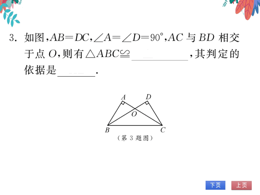 12.2第4课时用“HL”证两个直角三角形全等　习题课件