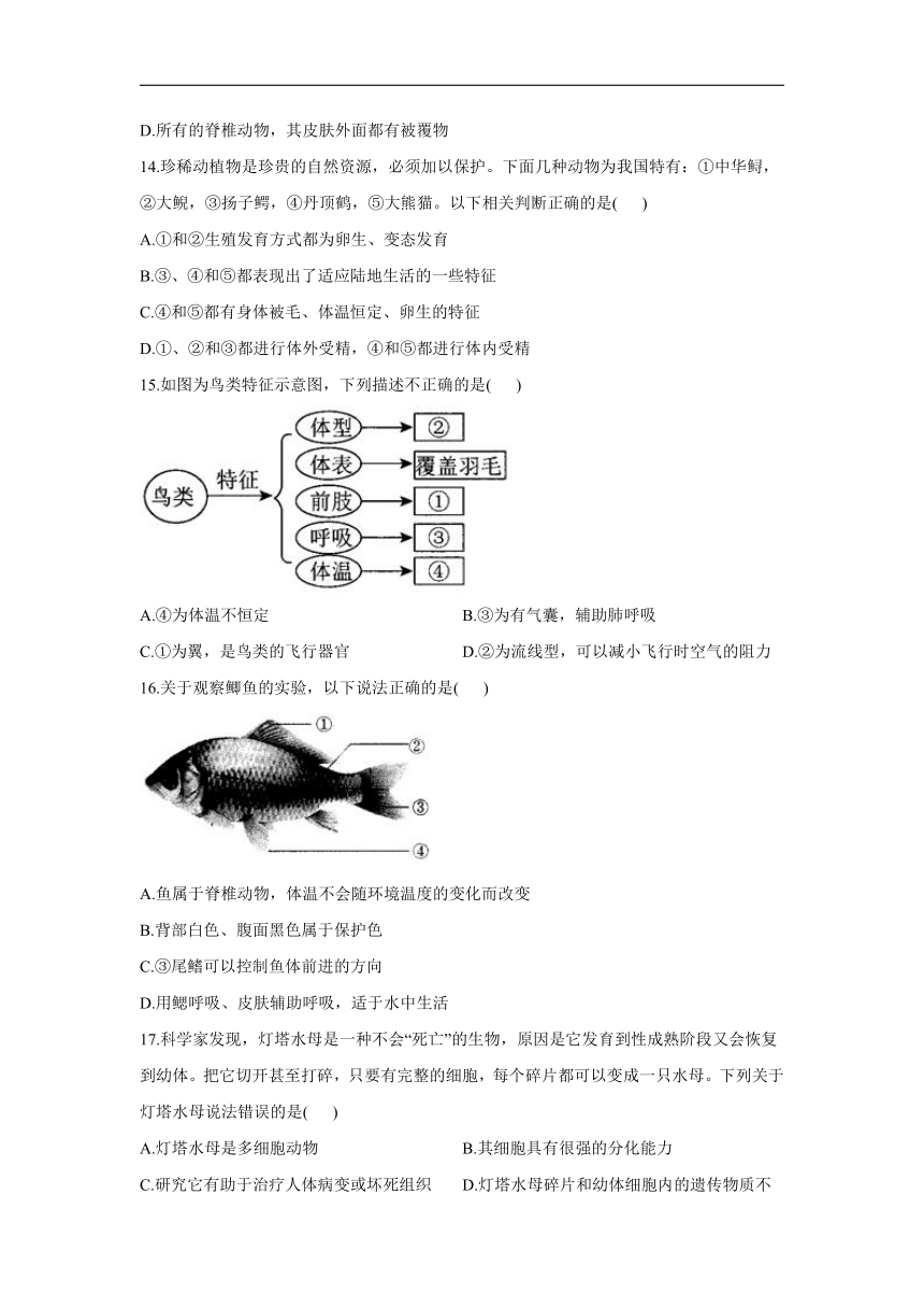 第四章多种多样的动物_能力提升_2021-2022学年冀教版七年级上册生物单元测试卷（word版含解析）