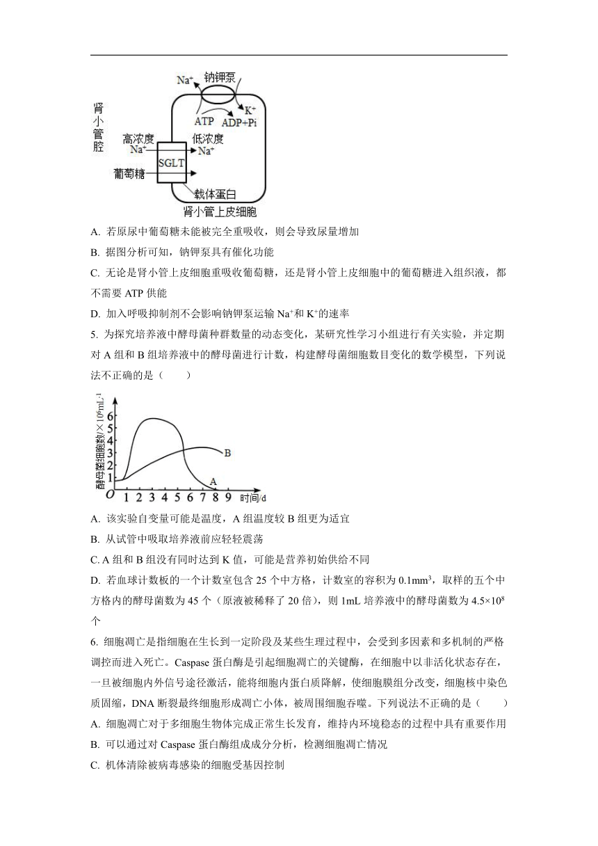 【生物】辽宁省铁岭市六校2022届高三上学期期末（word版含答案）