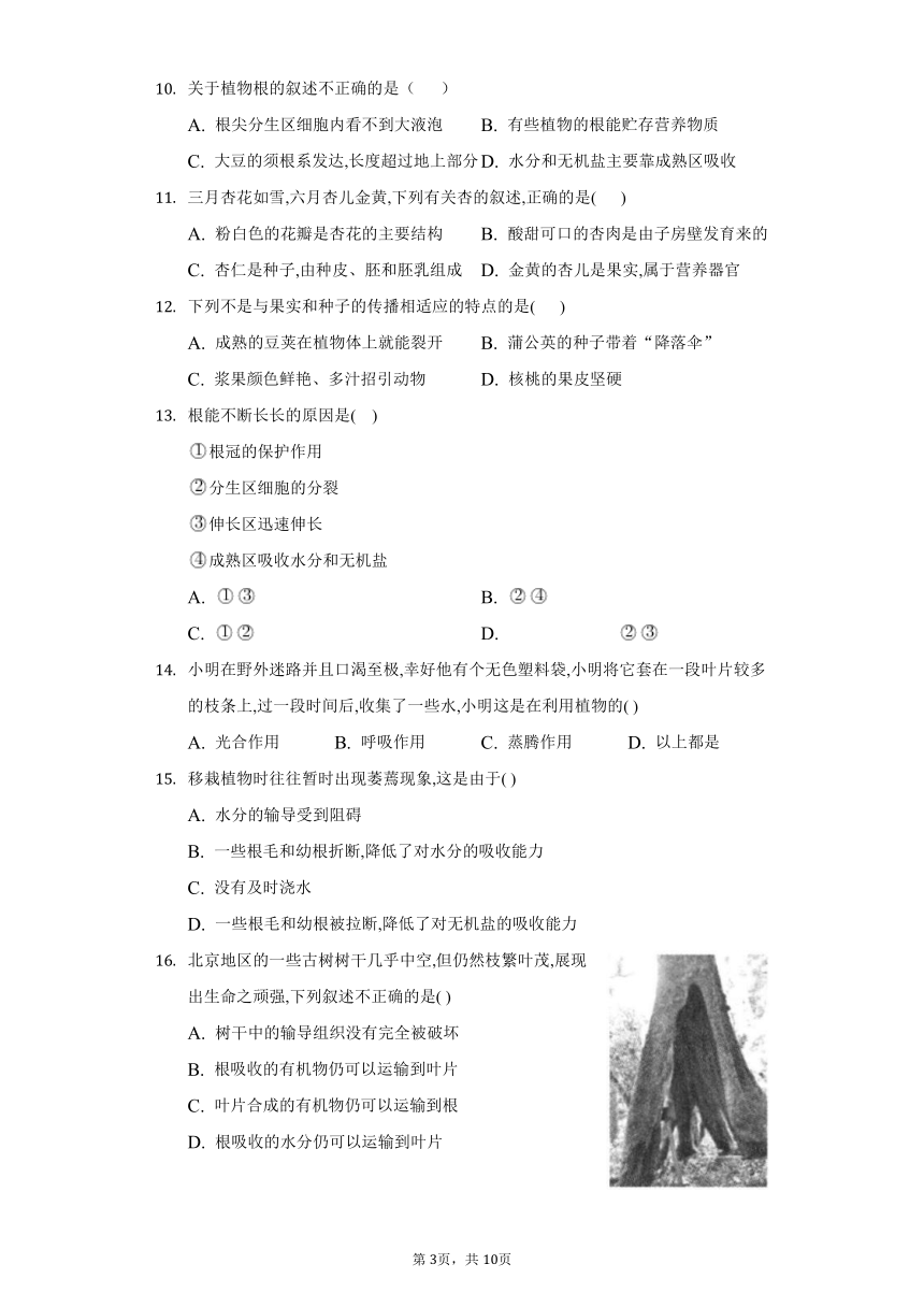 2022-2023学年人教版生物七年级上册单元强化练习第三单元生物圈中的绿色植物(word版含答案）