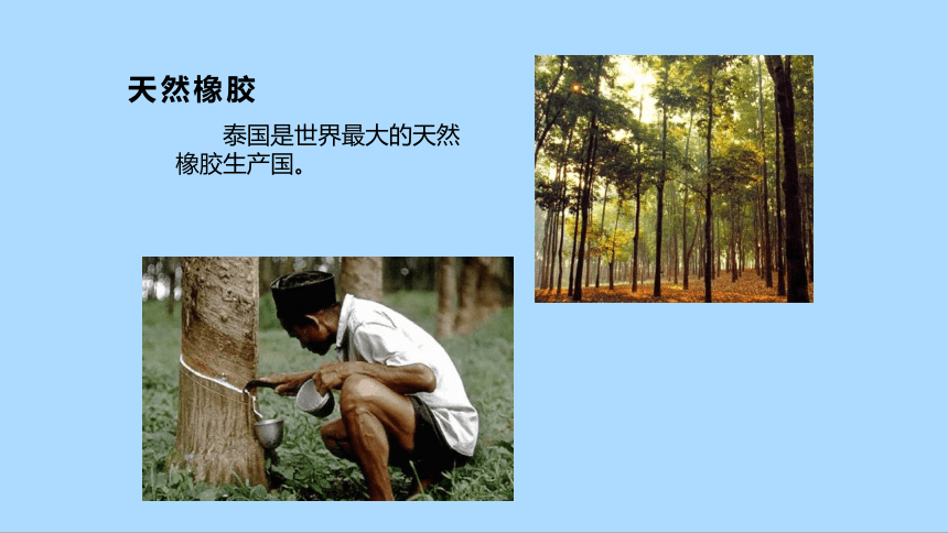 中图版（北京）地理八年级下册6.1.3湿热的气候和丰富的物产课件(共35张PPT)