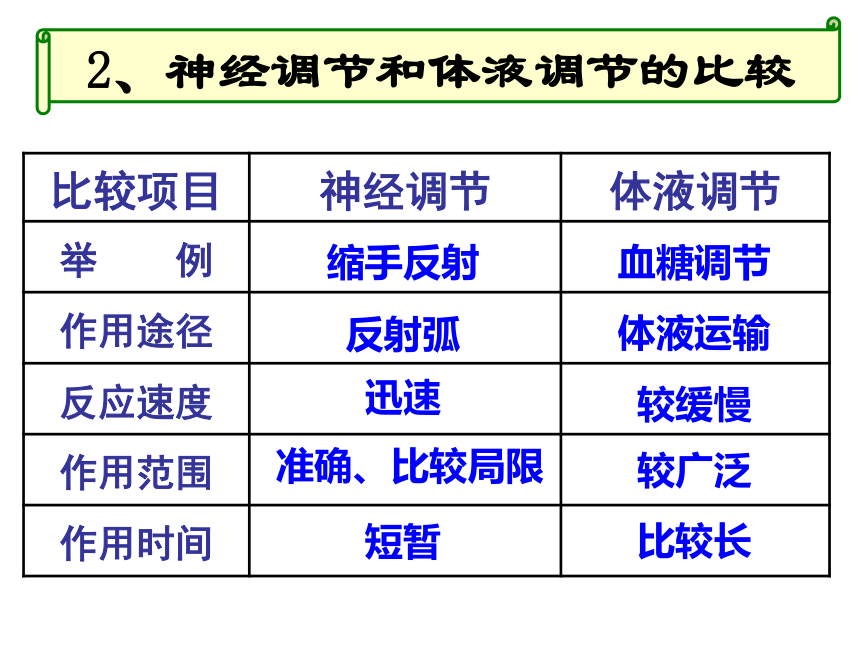 人教版高中生物必修三2.3神经调节和体液调节的关系(共23张PPT)