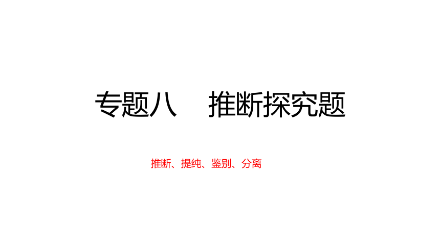 专题八 化学物质推断探究题（课件 20张ppt）