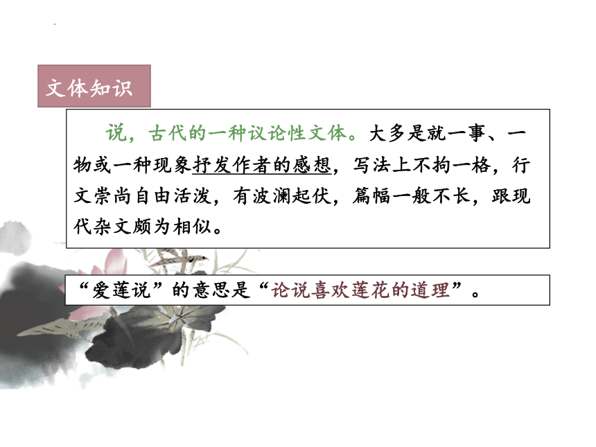 第17课《短文两篇：爱莲说》课件（共25张PPT）