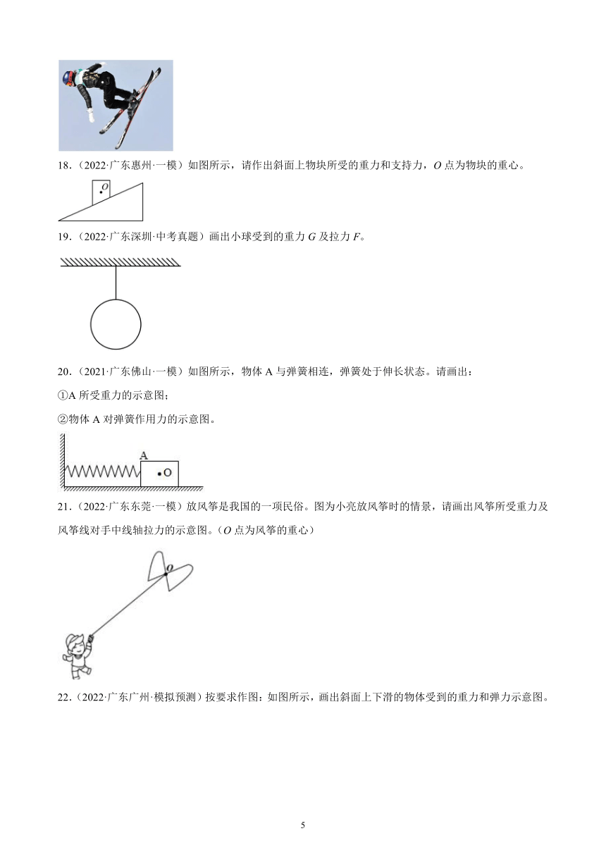 广东地区2021、2022两年物理中考真题、模拟题分类选编—力 练习题（含答案）