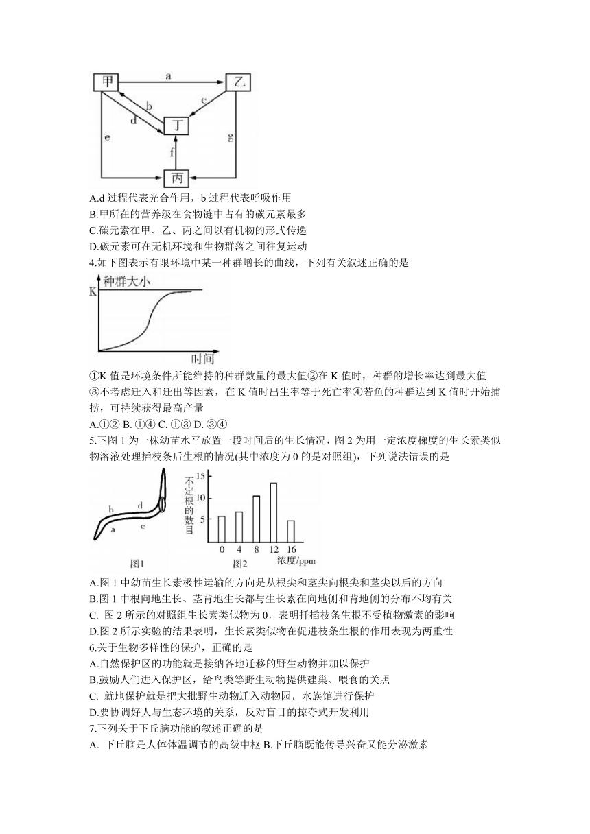 四川省乐山市2022-2023学年高二下学期开学考试生物学试题（Word版含答案）