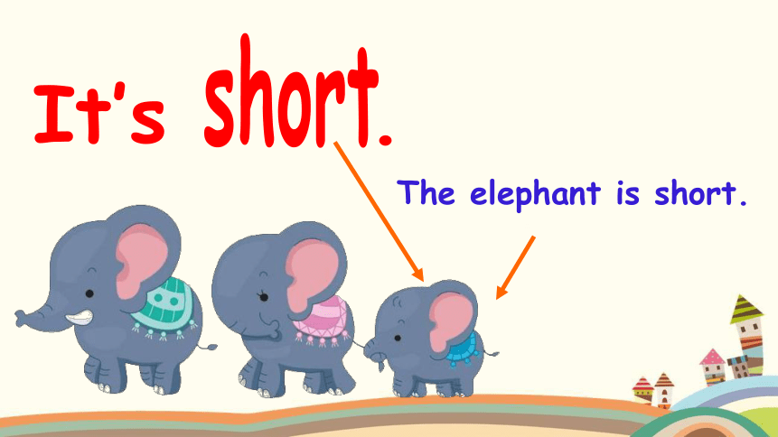 Unit 3Unit 3  At the zoo Part A Let's learn—Let's do 课件(共21张PPT)