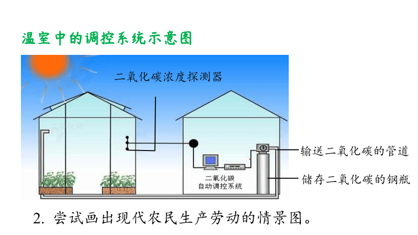 3.6.5  光合作用和呼吸作用原理的应用课件(共22张PPT)2023-2024学年初中生物苏教版七年级上册