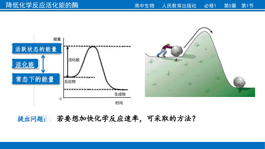 生物人教版（2019）必修1 5.1.1降低化学反应活化能的酶（共28张ppt）课件