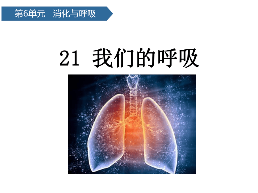 青岛版（六三制2017秋） 三年级下册6.21我们的呼吸 课件(共11张PPT)