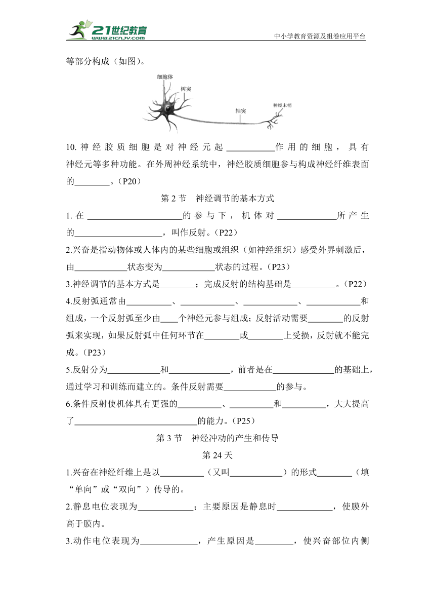 新高考生物晨背晚默：选择性必修1第2章 神经调节