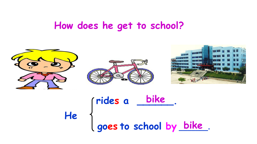 Unit 3 Section A 2a-2e 课件+内嵌音频（新目标七下Unit 3 How do you get to school?）