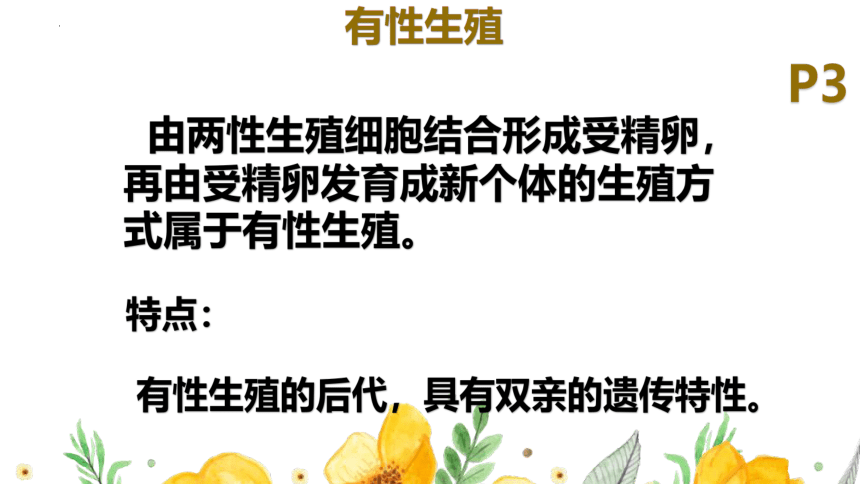 7.1.1植物的生殖课件（共36张PPT）2022-2023学年人教版生物八年级下册