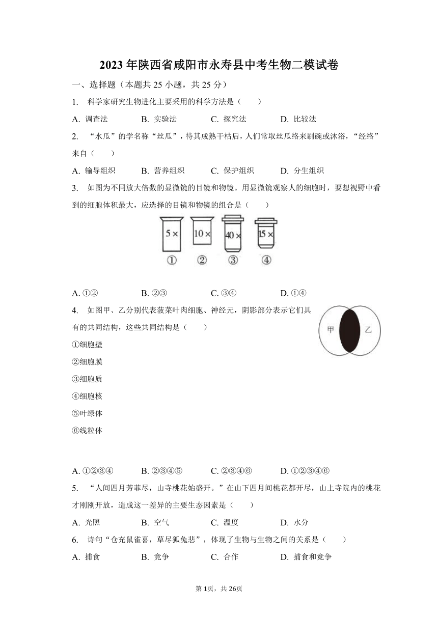 2023年陕西省咸阳市永寿县中考生物二模试卷（含解析）