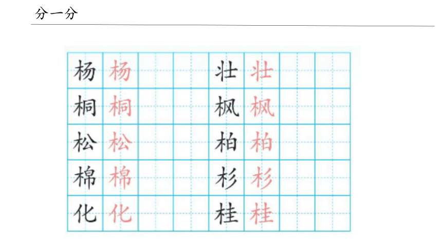 【课件PPT】小学语文二年级上册—识字2 树之歌