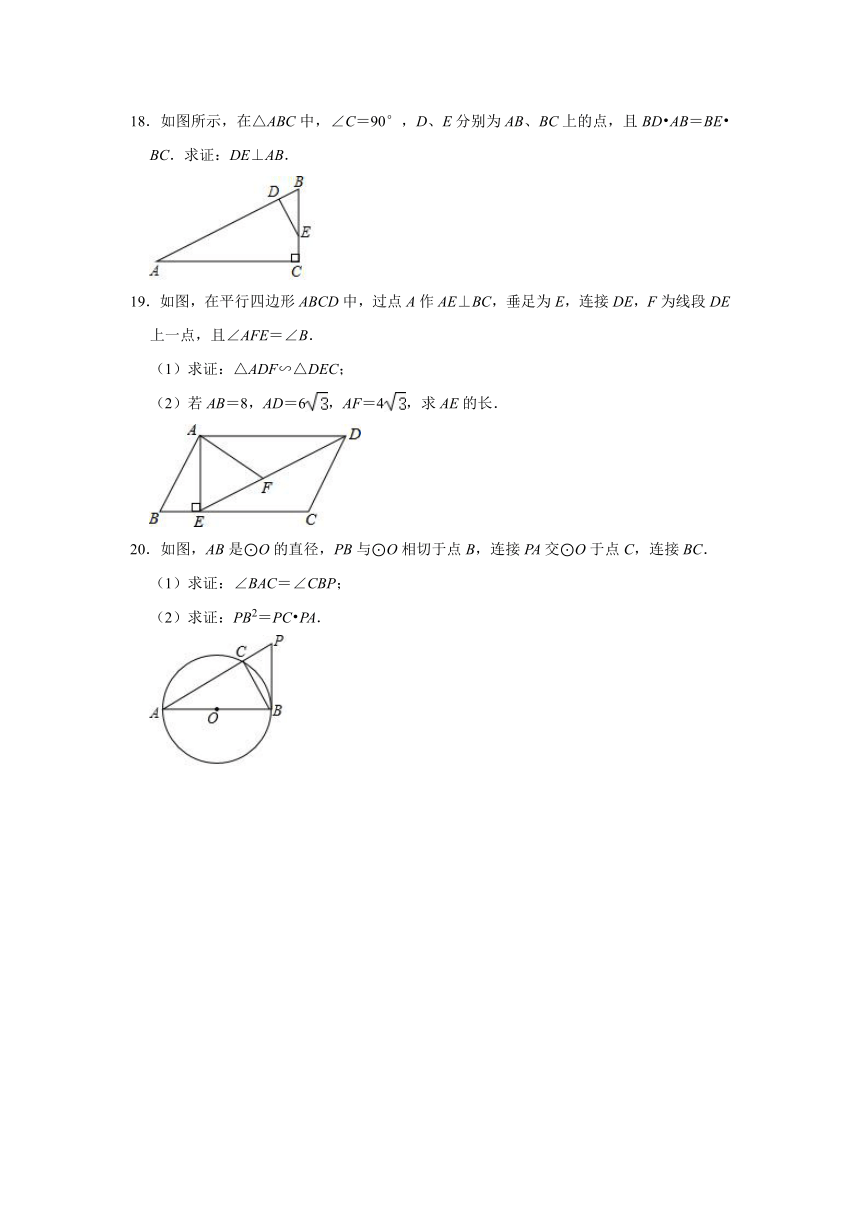4.4两个相似三角形的判定同步测评  2021-2022学年浙教版九年级数学上册（Word版含答案）