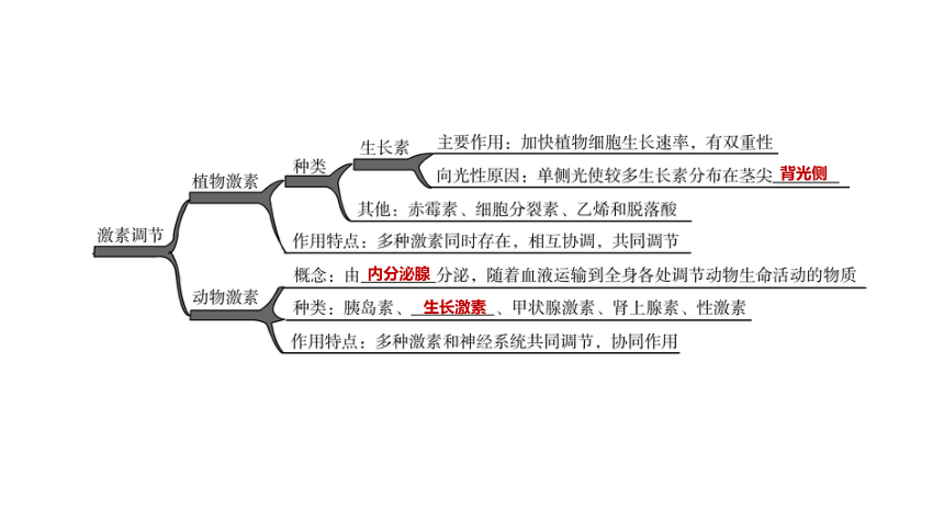 2022年浙江省中考科学一轮复习 第08课时　生命活动的调节（课件 38张PPT）