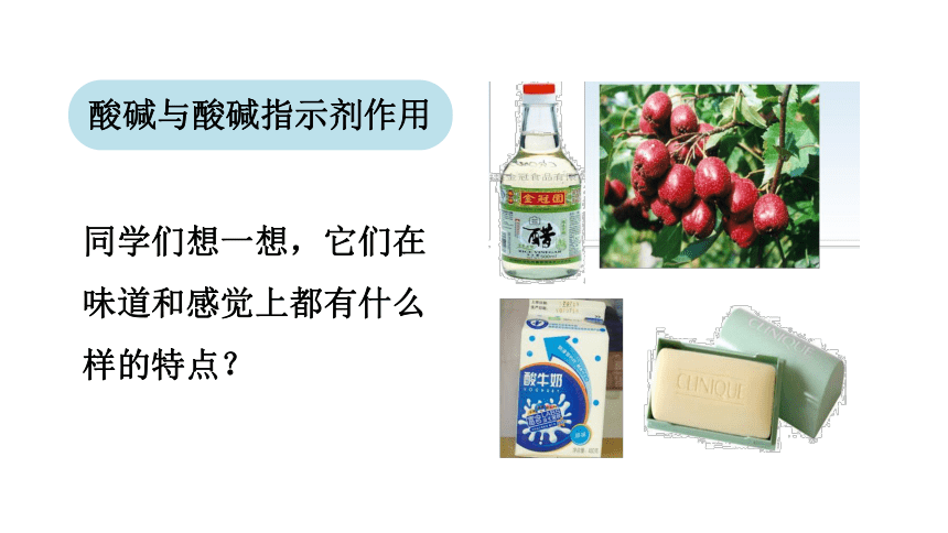 10.1.1 酸碱与酸碱指示剂作用  课件   人教版九年级下册化学   (共23张PPT)