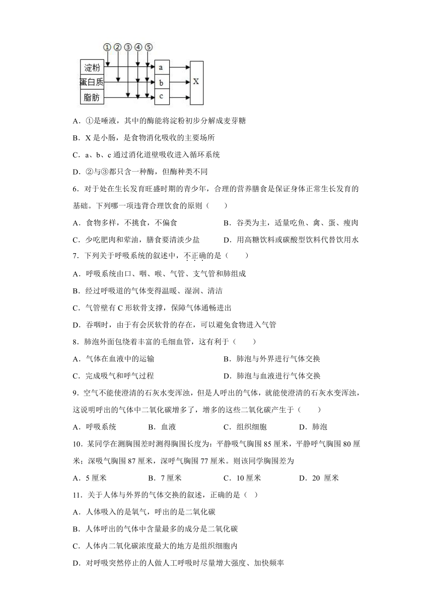 山东省滕州市羊庄中学2021-2022学年七年级下学期期中复习模拟题生物试题（word版含答案）