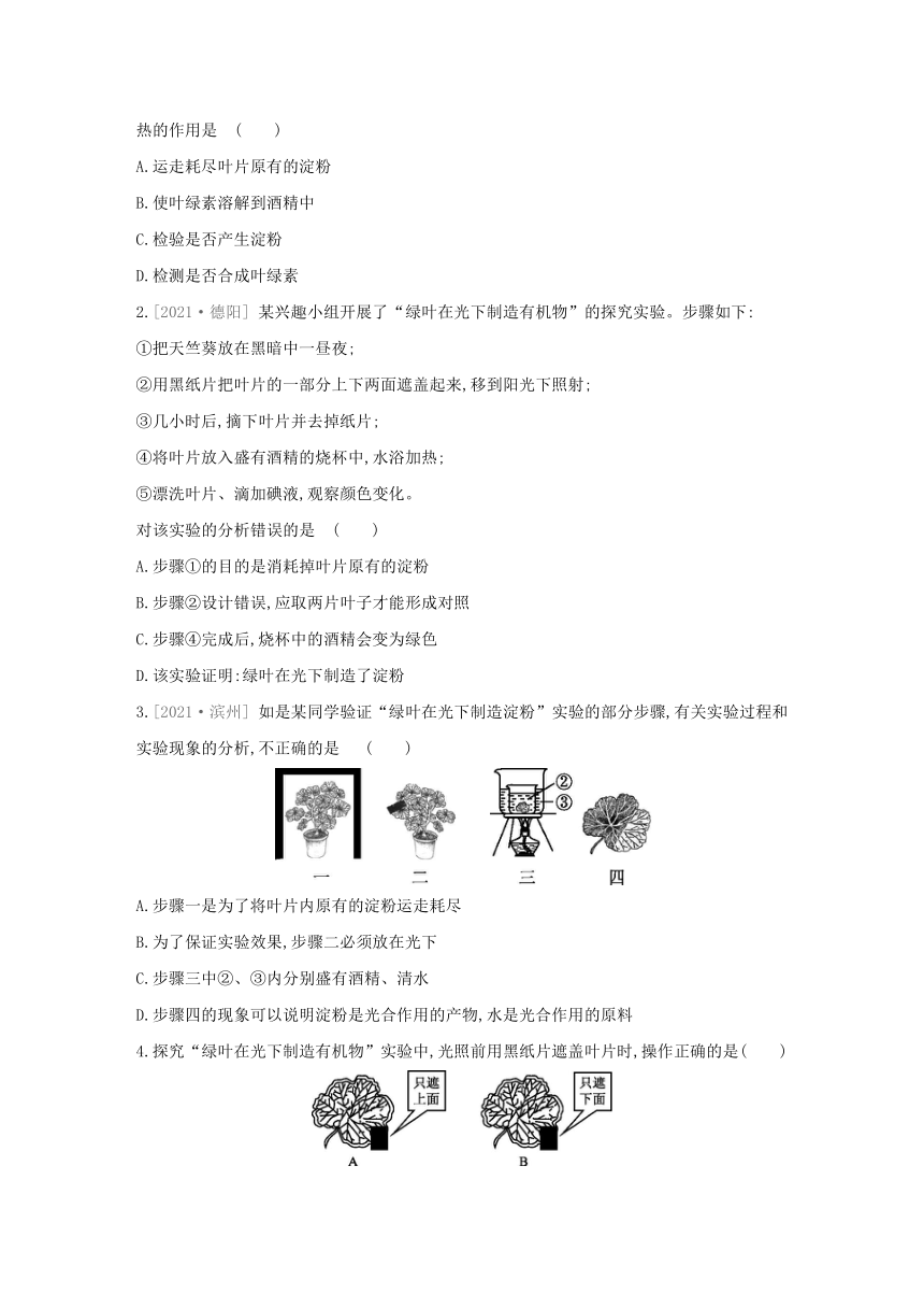 人教版生物学七年级上册同步练习：3.4绿色植物是生物圈中有机物的制造者(word版含答案）