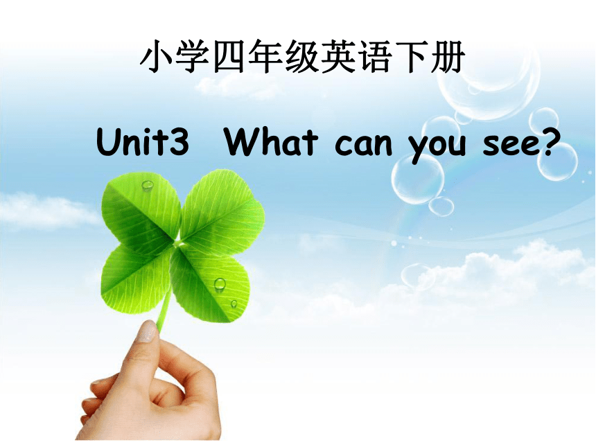 Unit3 What can you see？ 课件（共16张PPT）