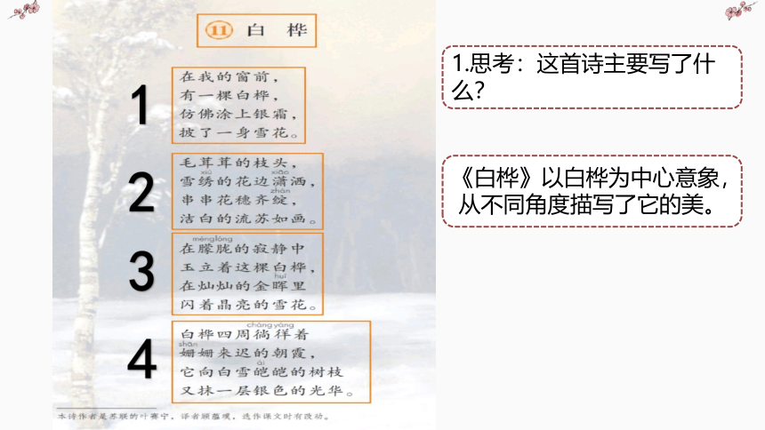 11.白桦 第二课时（课件）（共34张ppt）