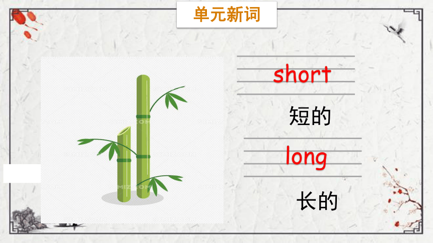 Unit 6 Family Lesson 1  My father has short hair课件（41张PPT)