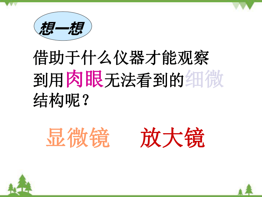 苏教版生物七年级上册 1.2.1探索生命的器具2课件(共19张PPT)