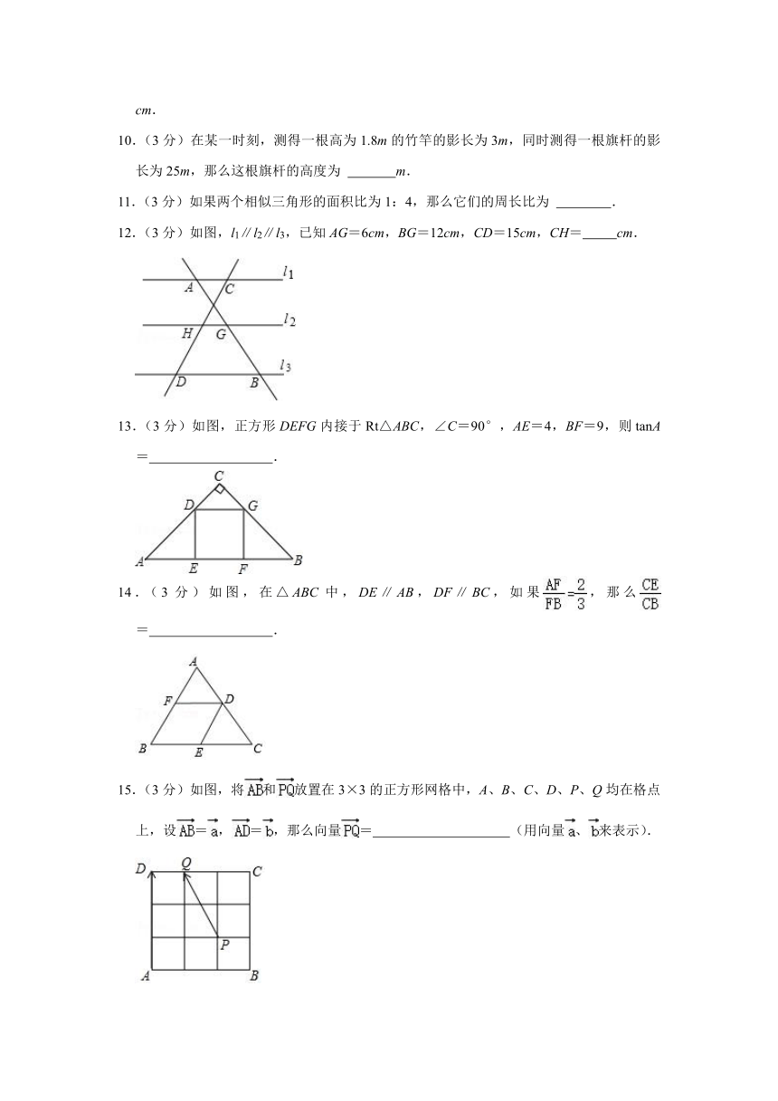 2021-2022学年上海市杨浦区九年级（上）期中数学试卷（Word版 含解析）