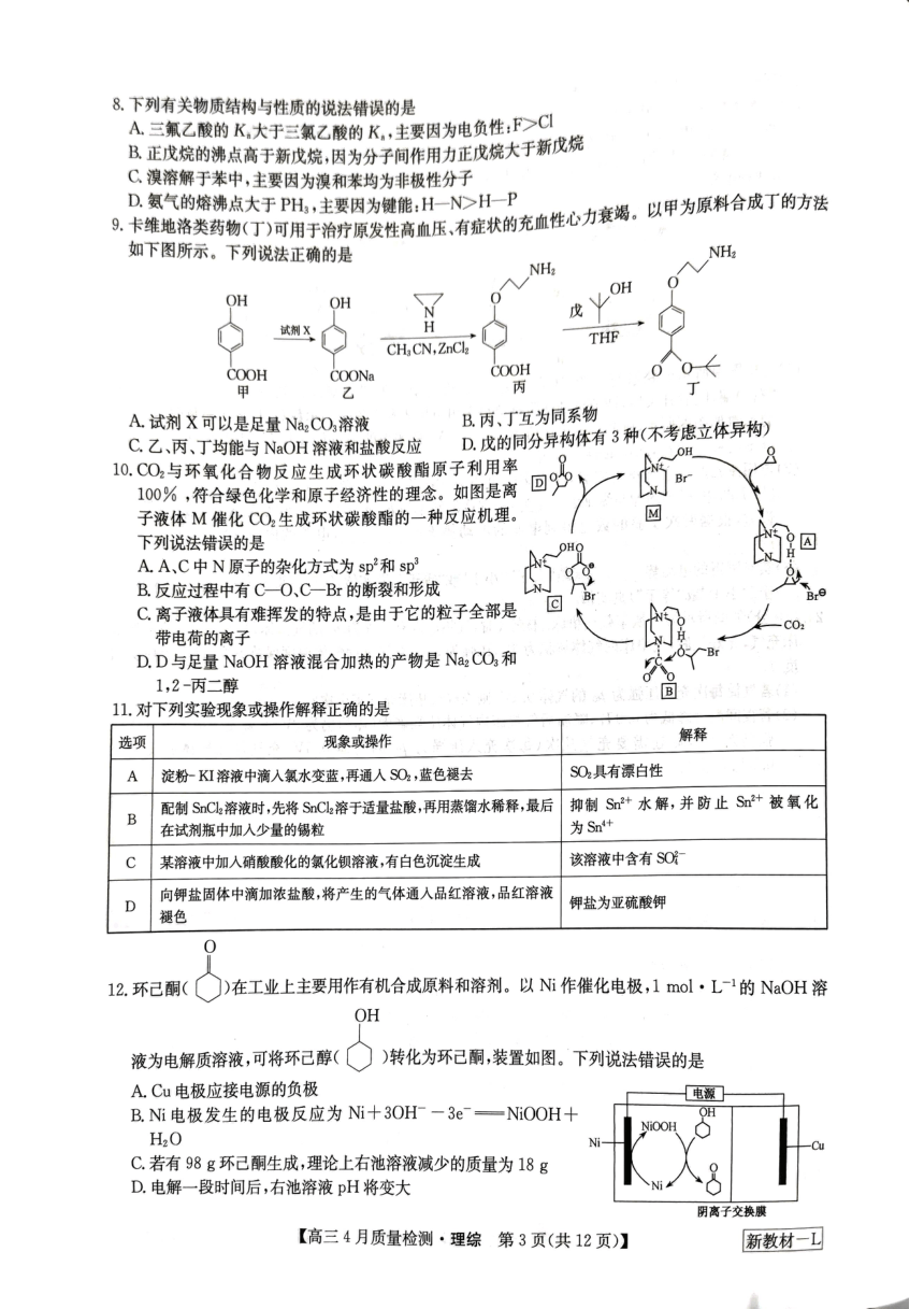 2024届河南省九师联盟2023-2024学年高三下学期期中4月联考理综试题（PDF版无答案）