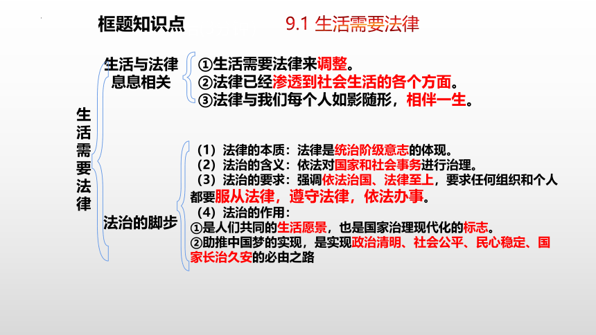 第九课法律在我们身边复习课件（25张PPT）