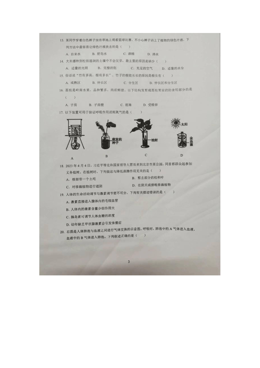 2023年广东省东莞市常平镇三模生物试题（图片版含答案）