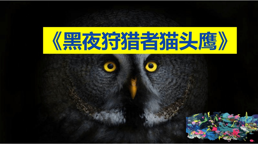 人美版（北京）美术四年级下册  5. 黑夜狩猎者猫头鹰 课件(共28张PPT)