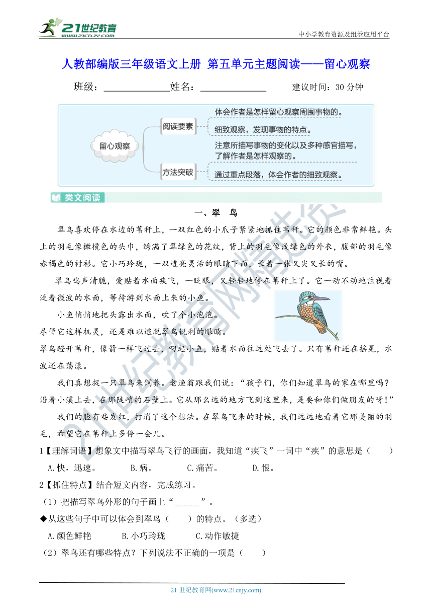 人教部编版三年级语文上册 第五单元主题阅读——留心观察(含答案及解析)