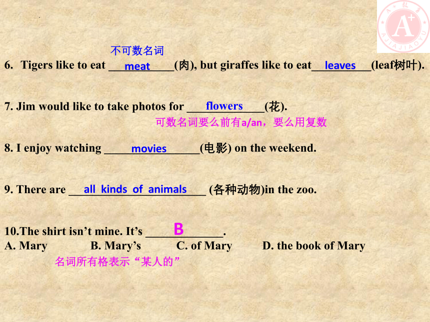 鲁教版英语七年级上册期末语法复习-名词代词课件 (共14张PPT)