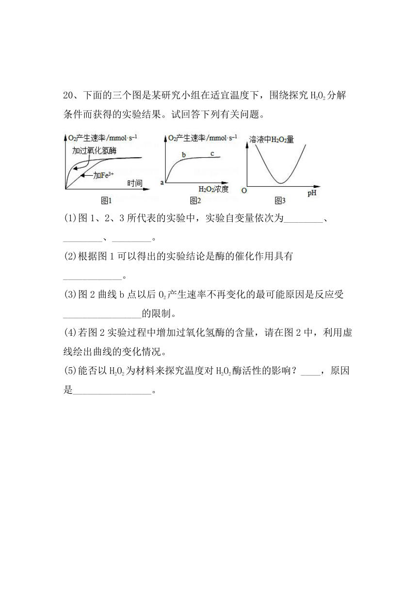 5.1降低化学反应活化能的酶同步训练-2022-2023学年高一上学期生物人教版（2019）必修1（含解析）