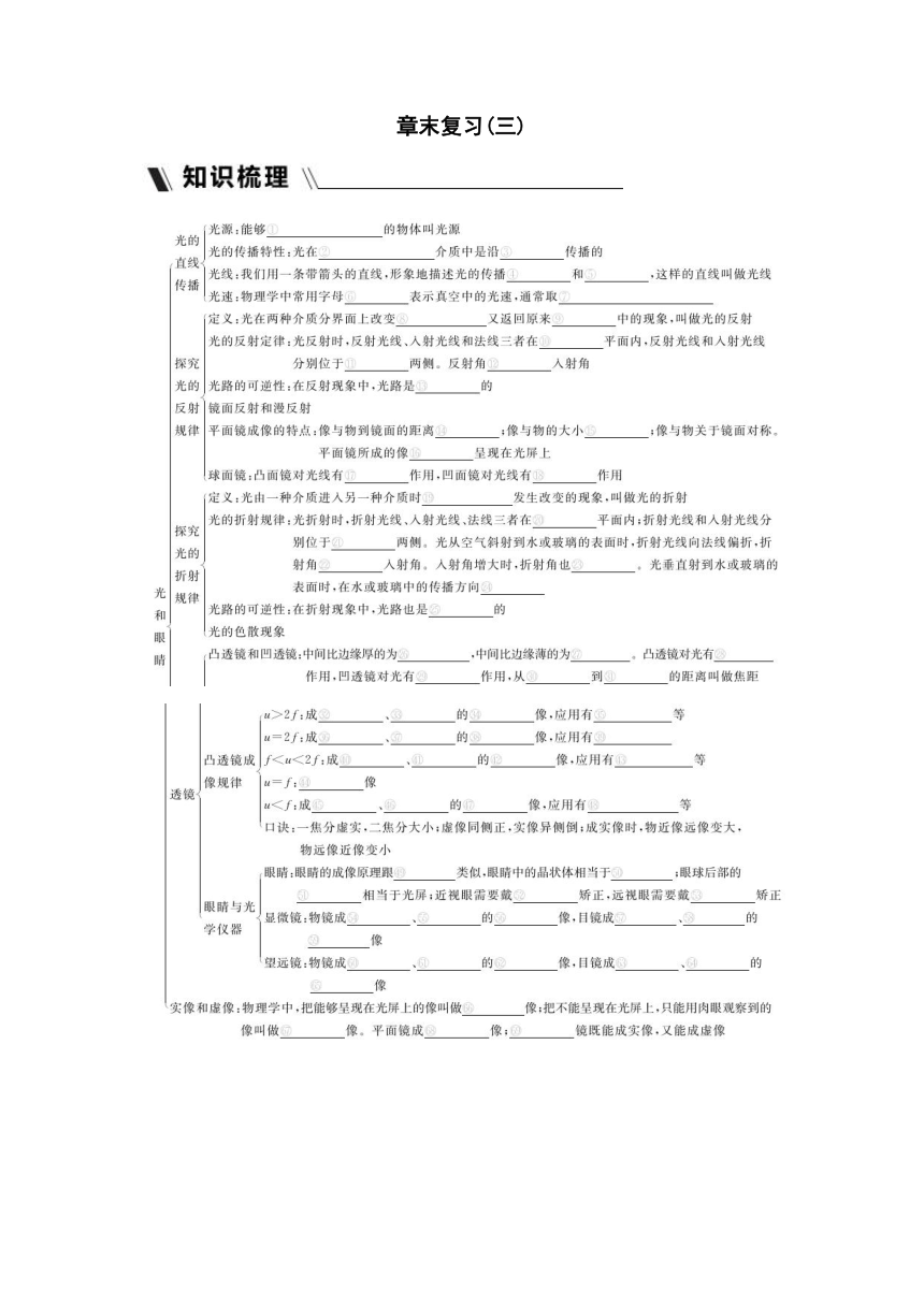 粤沪版物理八年级上册课课练：第3章　光和眼睛  章末复习（含答案）