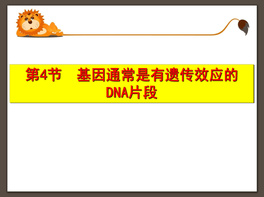 2021-2022学年高一下学期生物人教版必修2-3.4基因通常是有遗传效应的DNA片段课件(共23张PPT)