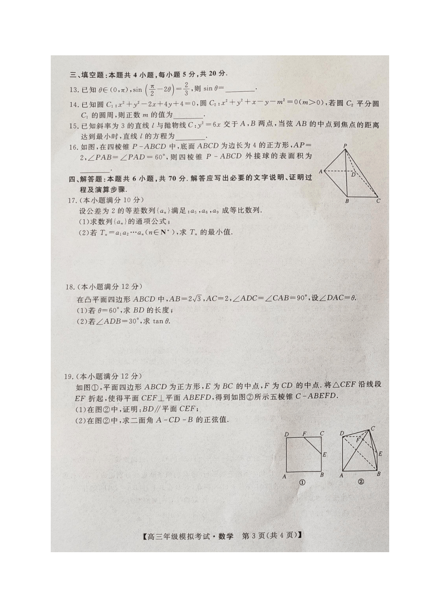 辽宁省2021届高三5月联考数学试题及答案（PDF含解析）