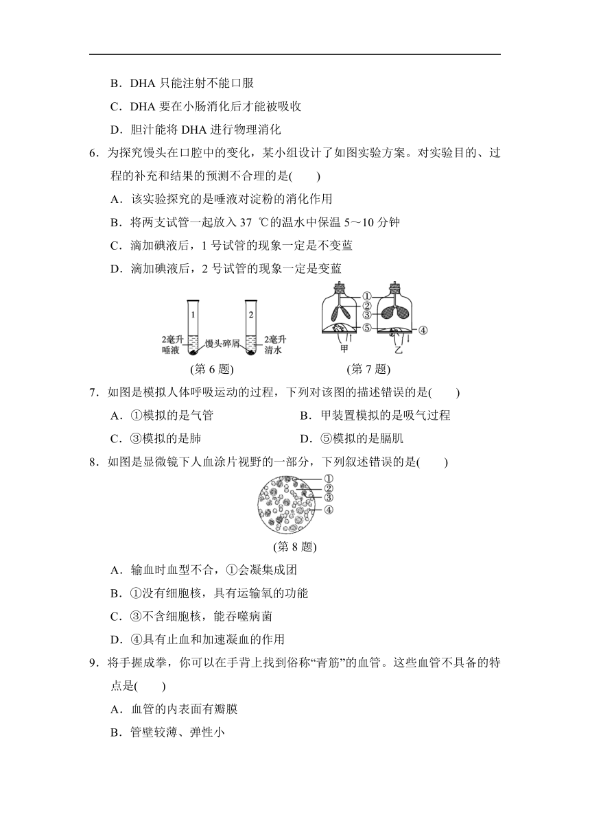 人教版生物七年级下册期末达标测试卷(word版含解析）