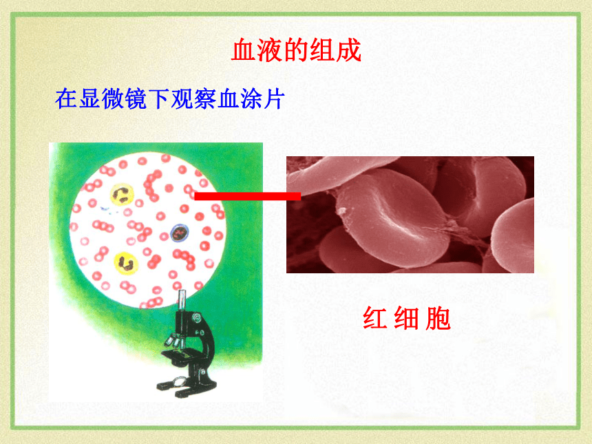 9.1血液课件(共40张PPT)