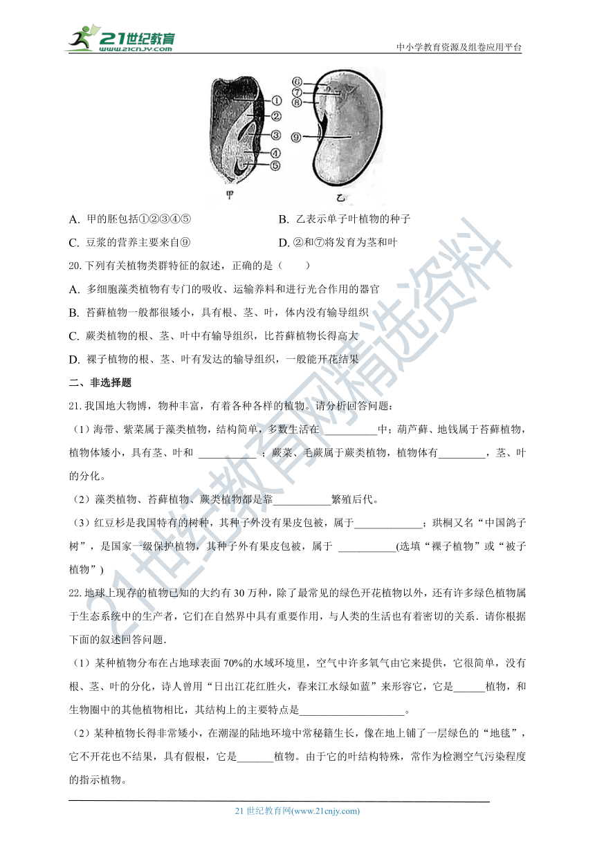 人教版七年级上册生物第三单元 第一章 生物圈中有哪些绿色植物（word版 含解析）