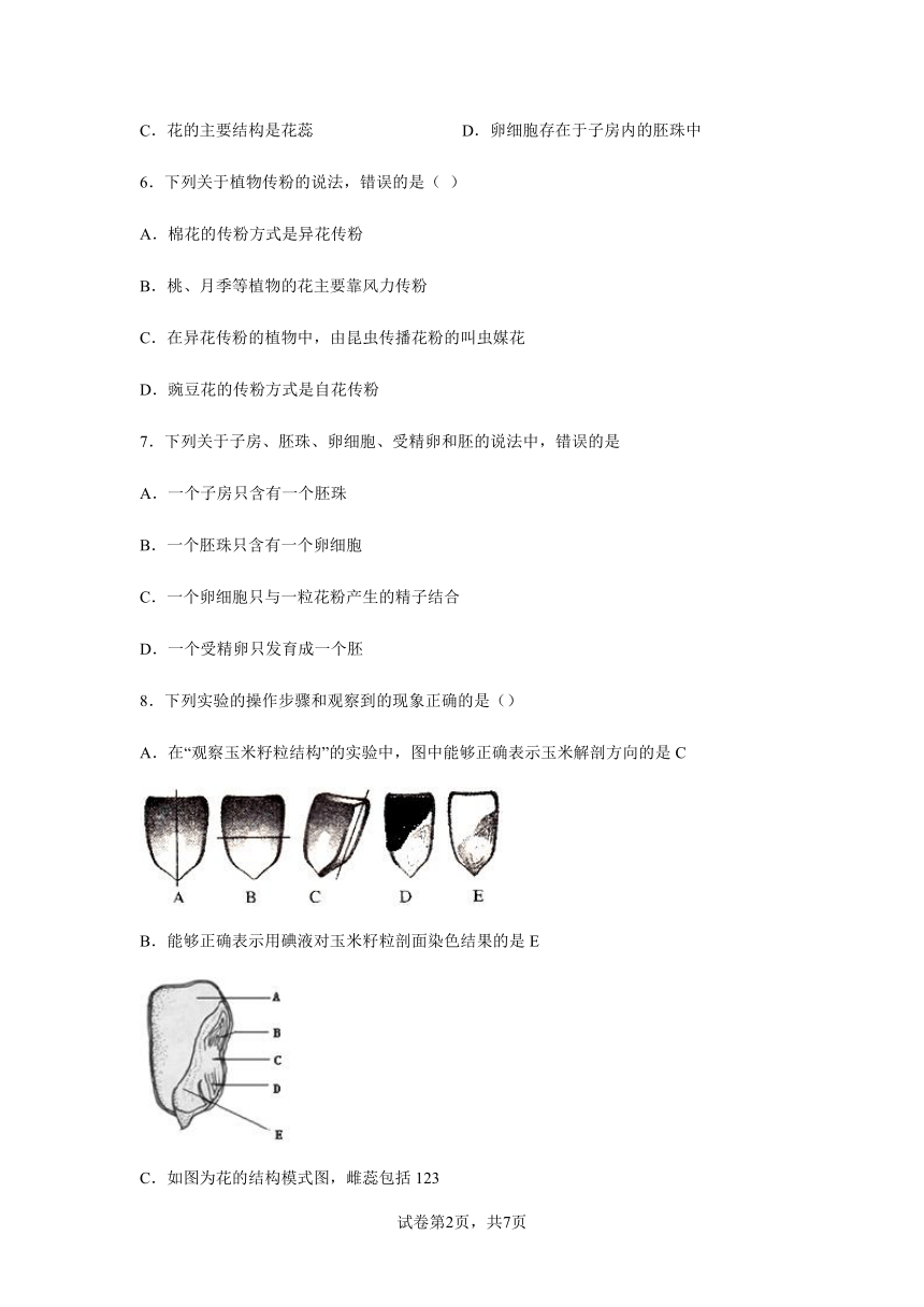 7.1绿色开花植物的有性生殖和发育达标练习（含答案）