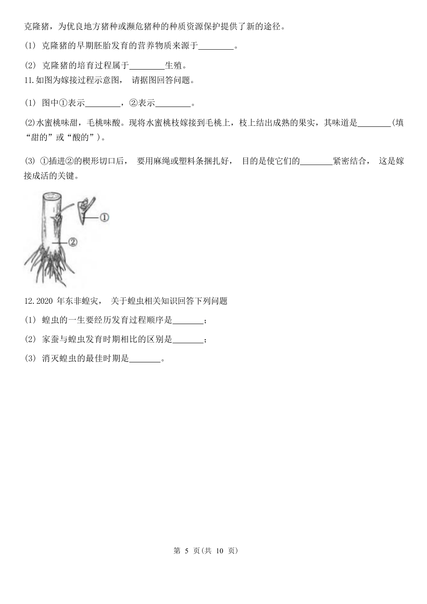 解答题2-期中分题型复习（第1章 代代相传的生命 含解析）