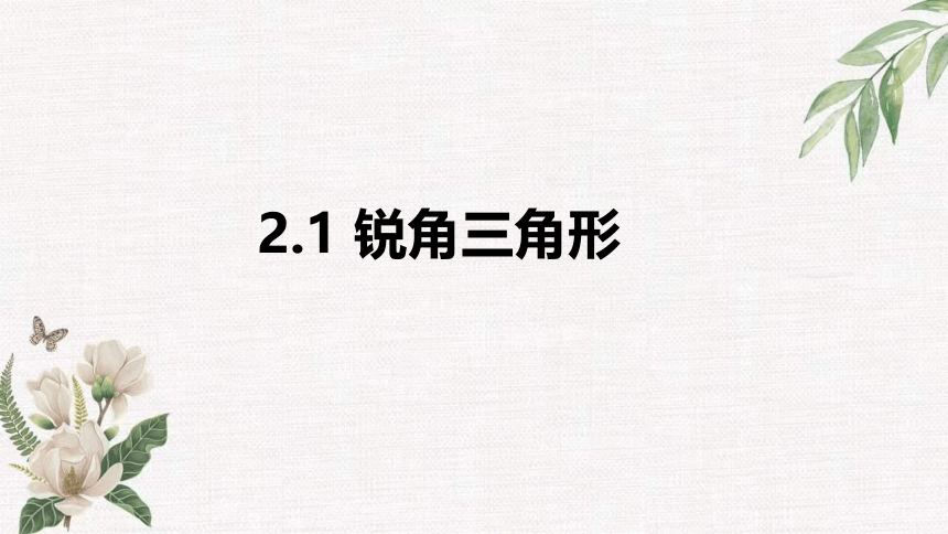 2.1 锐角三角函数 课件（共19张PPT）