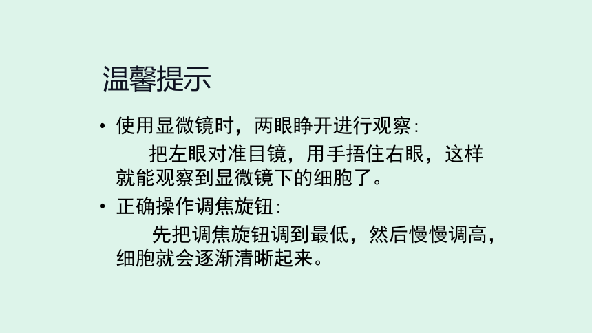 青岛版（六三制2017秋）六年级上册科学-1.1.细胞 课件(共18张PPT)