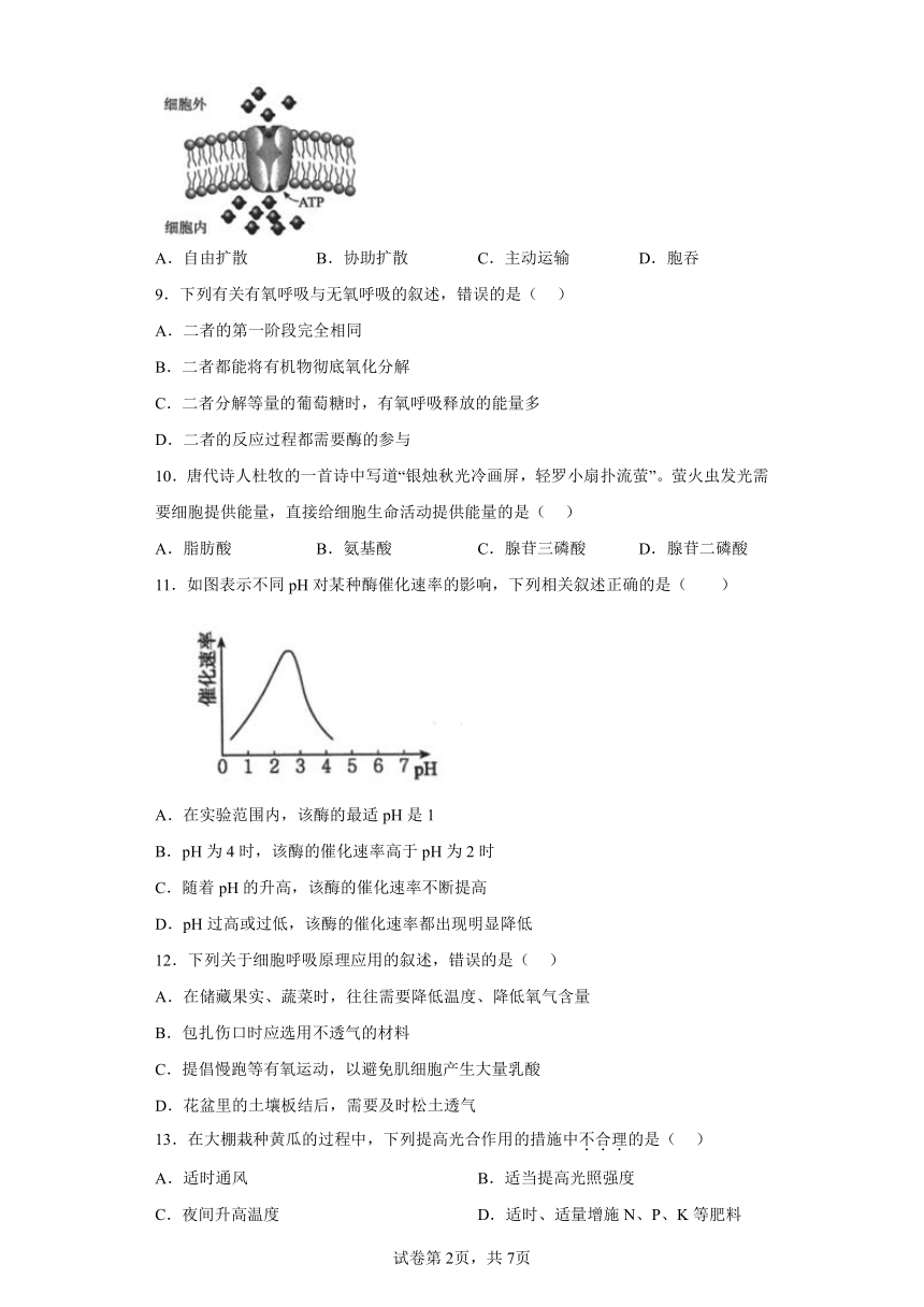 广西2023年普通高中合格性模拟考试生物试题（含答案）