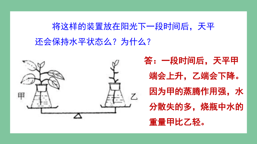 2.1.2 绿色植物的蒸腾作用课件(共28张PPT)2023-2024学年初中生物济南版七年级上册