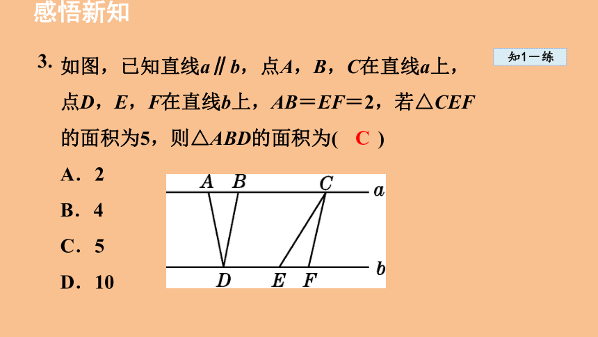 初中数学鲁教版（五四制）八年级上册5.1.3 平行线间的距离 课件（共21张PPT）