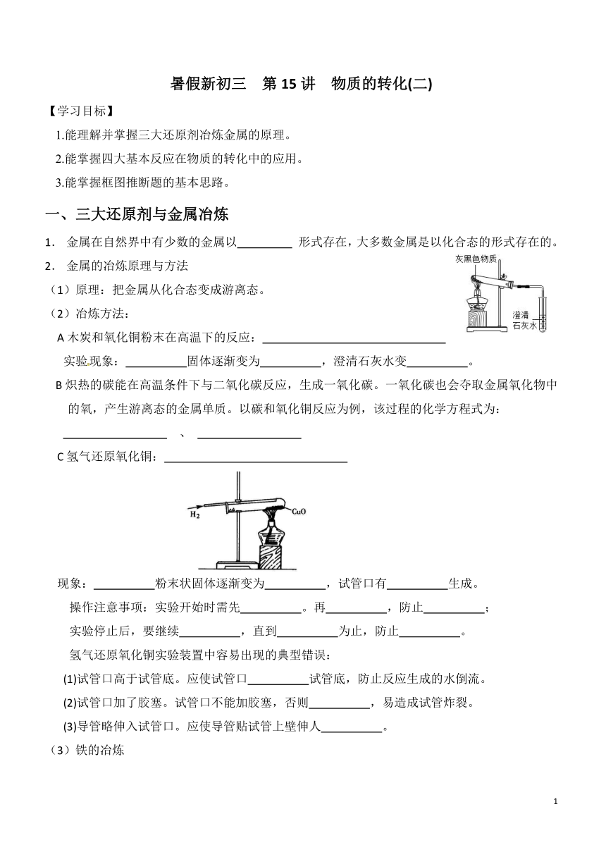 2021年 暑假新初三科学  第15讲  物质的转化(二)（知识讲解+针对练习）（无答案）